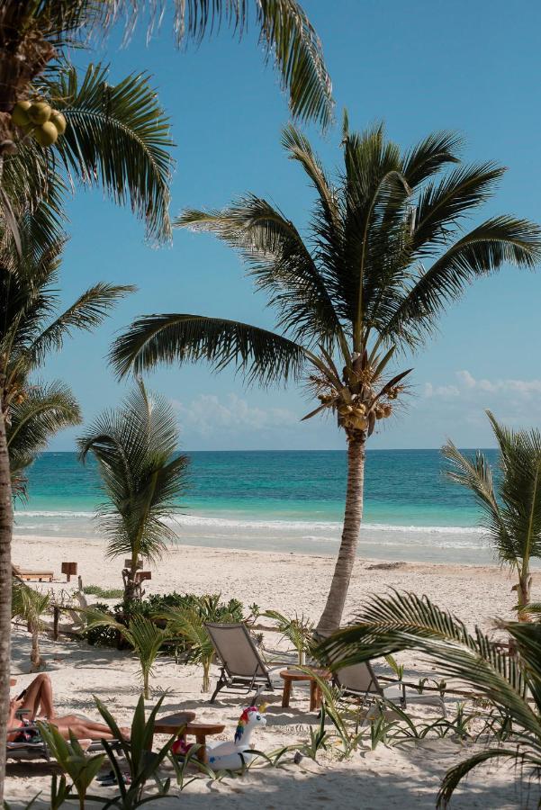 Los Arrecifes Tulum Luaran gambar